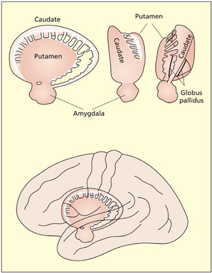 fig2_11