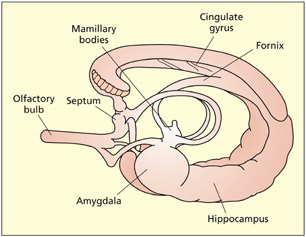 fig2_12