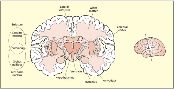 fig2_14