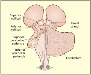 fig2_15