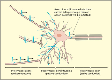 fig2_2