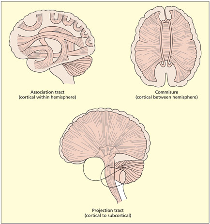 fig2_4