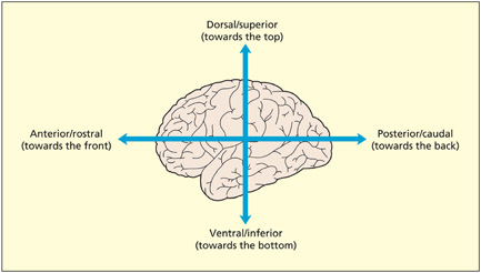 fig2_7