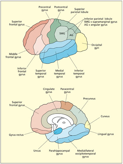 fig2_9