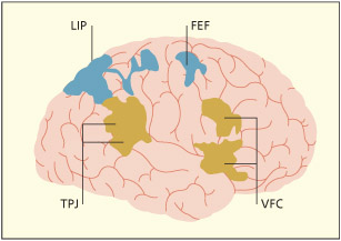 fig7_9