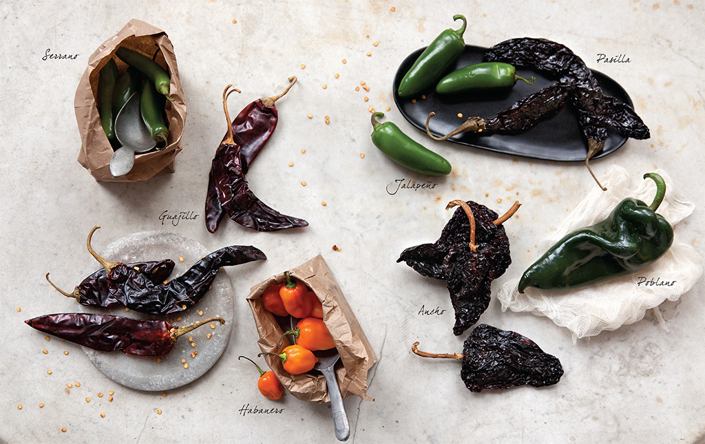 Serrano, Guajillo, Jalapeño, Pasilla, Poblano, Ancho, Habanero