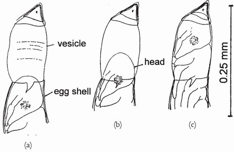 image 57