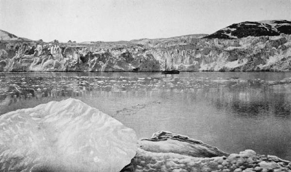 THE FRONT OF MUIR GLACIER