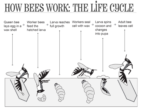 BeekeepingInterior-238.jpg