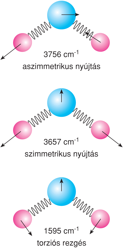 VI/3.2.1. A molekularezgések