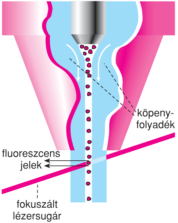 VI/4.1. Az áramlási citométerek mûködésének általános elvei