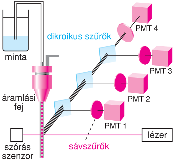 VI/4.1. Az áramlási citométerek mûködésének általános elvei