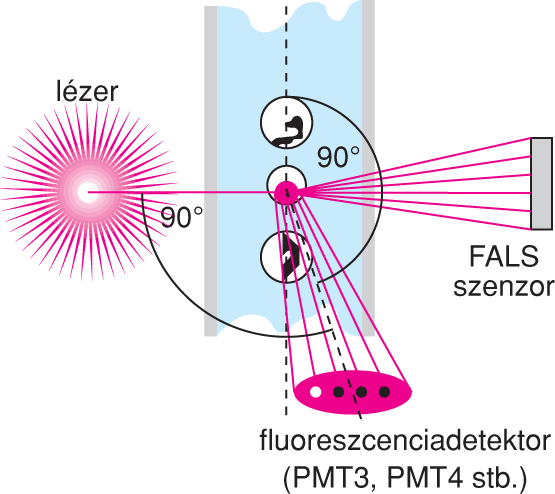 VI/4.1. Az áramlási citométerek mûködésének általános elvei