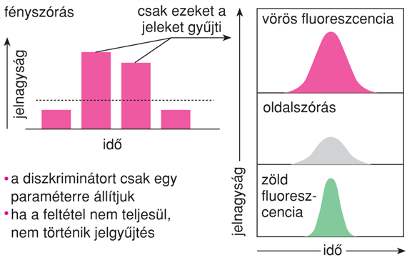 VI/4.1. Az áramlási citométerek mûködésének általános elvei