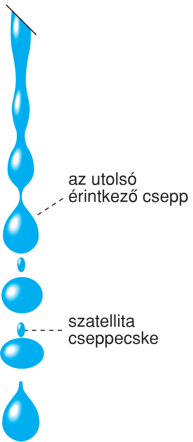 VI/4.3. Sejtszeparálás