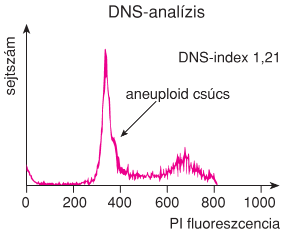 VI/4.4.2. Immunofluoreszcencia