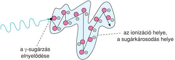 IX/3.1.3. γ- és röntgensugárzás, összefoglaló néven fotonsugárzás
