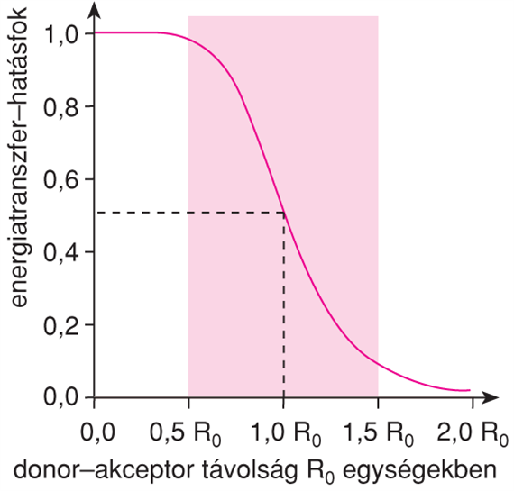 X/1.1.1. Förster típusú rezonancia-energiaátadás (energiatranszfer)