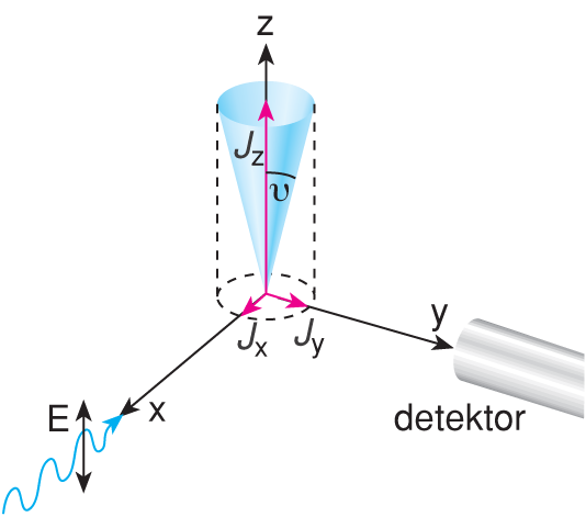 X/1.1.3. A fluoreszcencia-polarizáció mérése és alkalmazásai