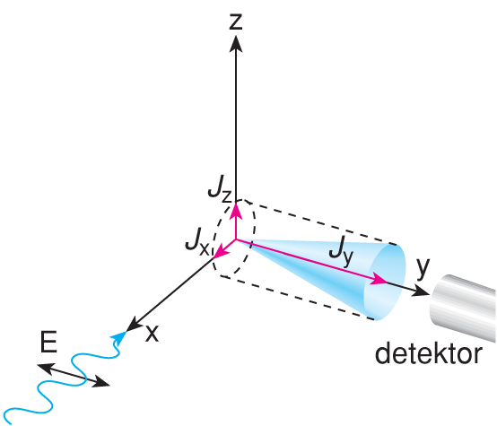 X/1.1.3. A fluoreszcencia-polarizáció mérése és alkalmazásai