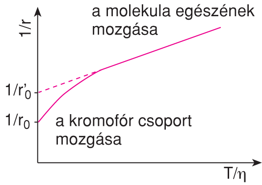 X/1.1.4. Idôfüggô fluoreszcencia-paraméterek meghatározása