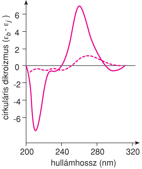 X/1.4.3. A CD-spektroszkópia alkalmazása makromolekulák szerkezetvizsgálatában