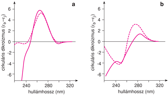 X/1.4.3. A CD-spektroszkópia alkalmazása makromolekulák szerkezetvizsgálatában