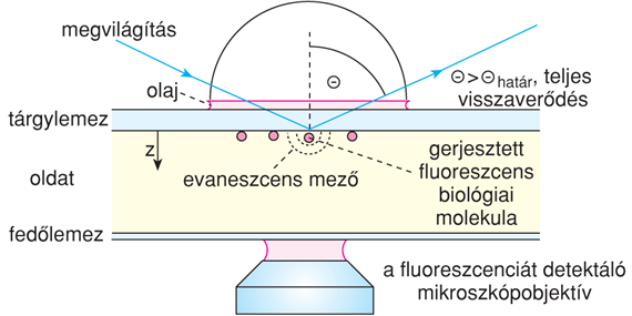 X/3.3. „Tovatûnô” (evaneszcens) fluoreszcencia