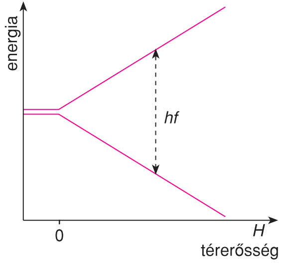 X/4.1. Az NMR és az ESR fizikai alapjai