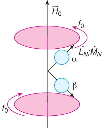 X/4.1. Az NMR és az ESR fizikai alapjai