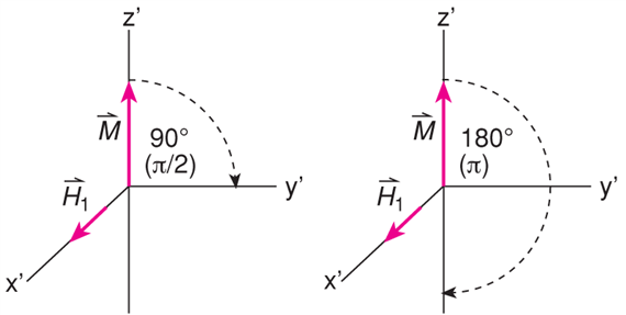 X/4.1. Az NMR és az ESR fizikai alapjai