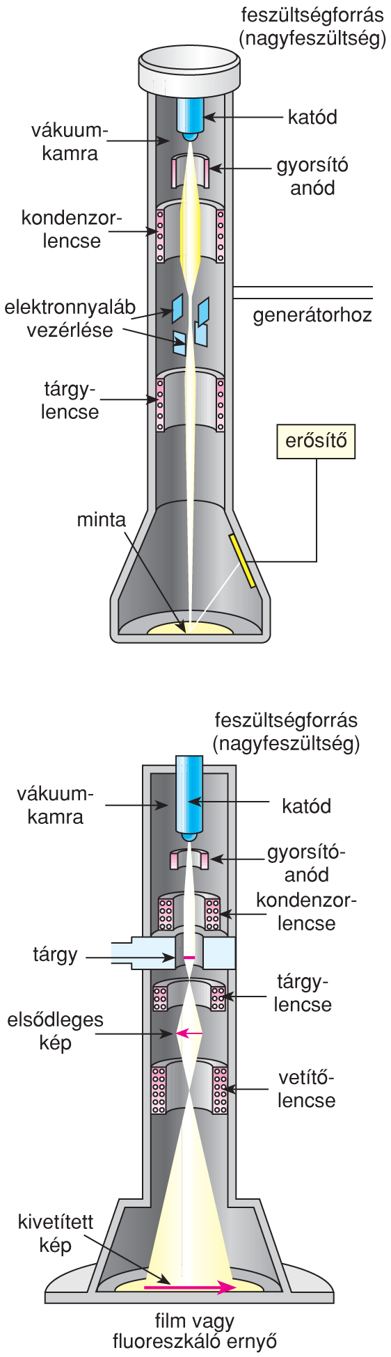 X/5.2. Az elektronmikroszkóp felépítése