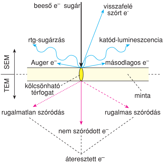 X/5.3. Az elektronnyaláb kölcsönhatása a mintával, mérési lehetôségek
