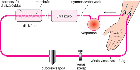 III/2.2.2. Az ozmózisnyomás gyakorlati jelentôsége