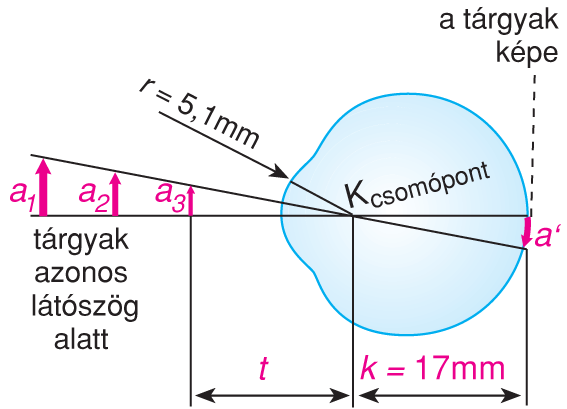 IV/2.2.1. Optikai leképezés a szemben