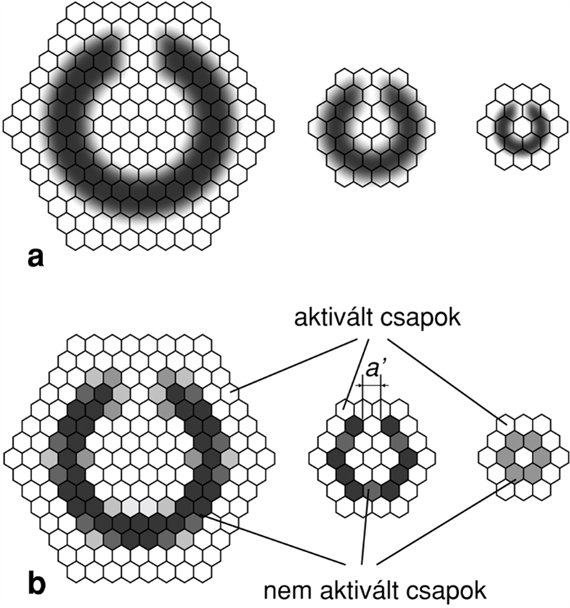 IV/2.2.3. A szem feloldóképessége