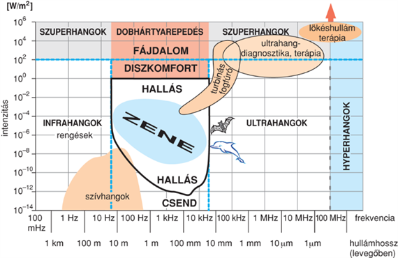 IV/3.1.4. Hangok és hallás