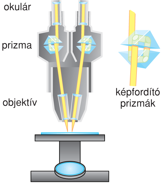 VI/2.3.1. Sztereomikroszkóp