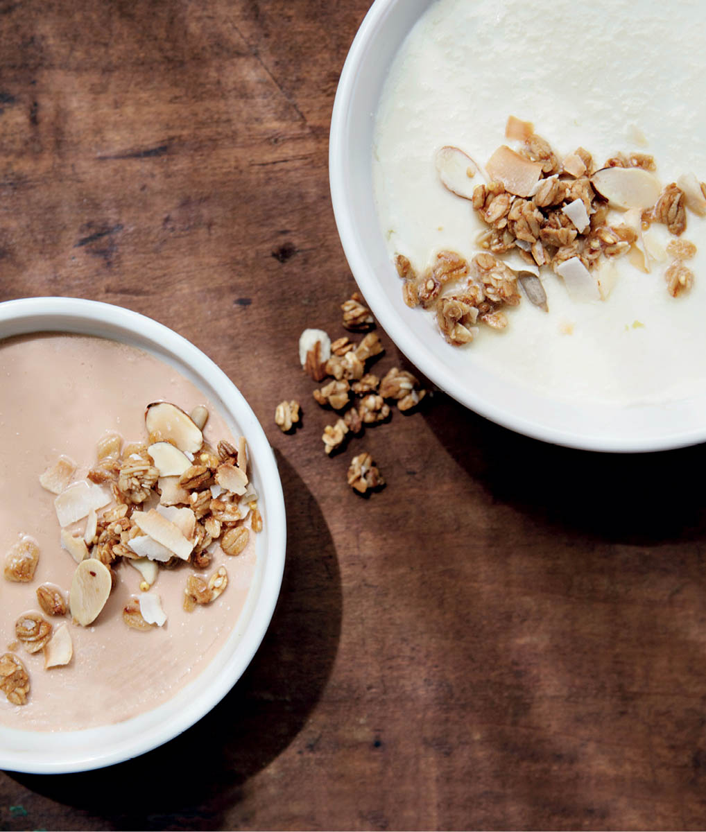 Dishes of homemade skyr