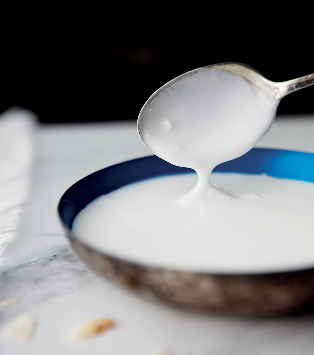 A bowl of coconut milk viili