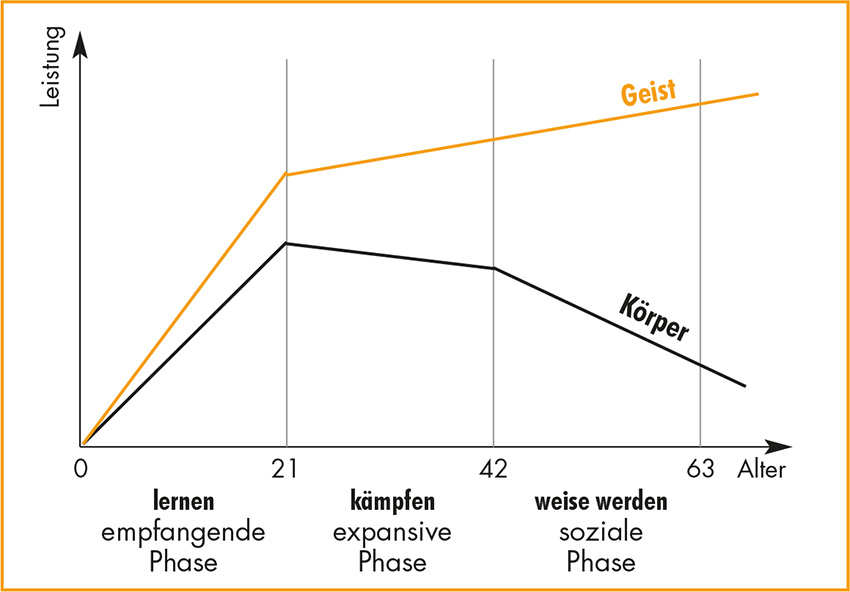 Grafik_S335.jpg