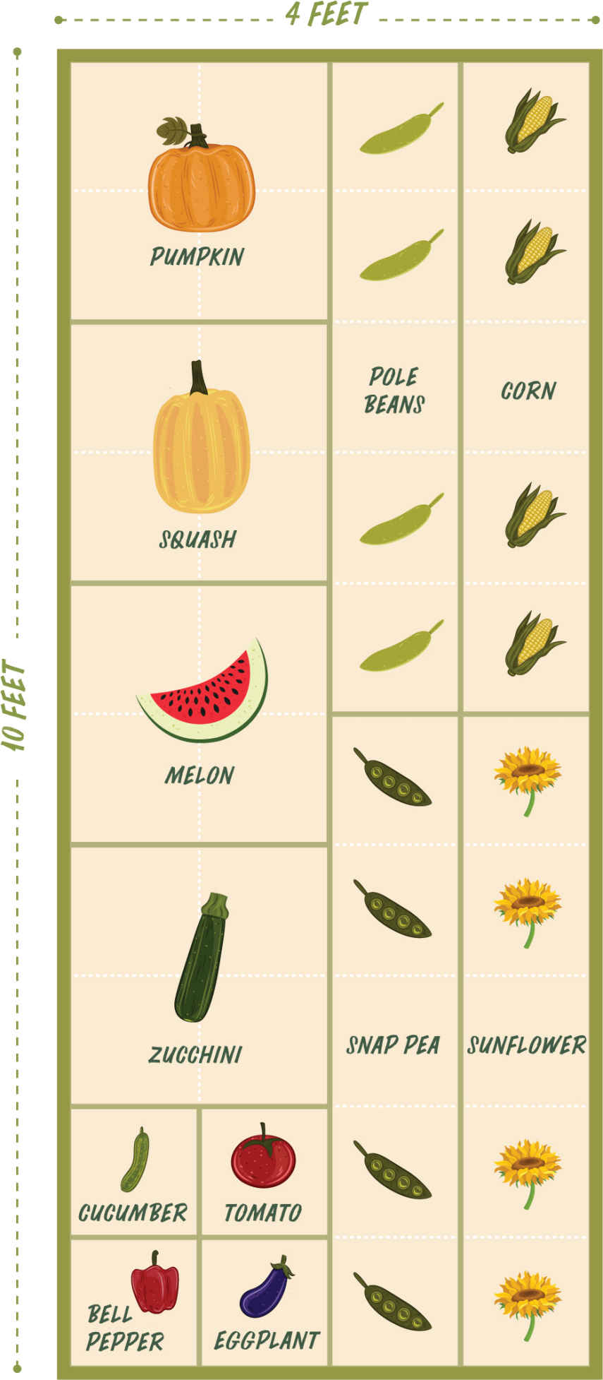 A garden planting map.