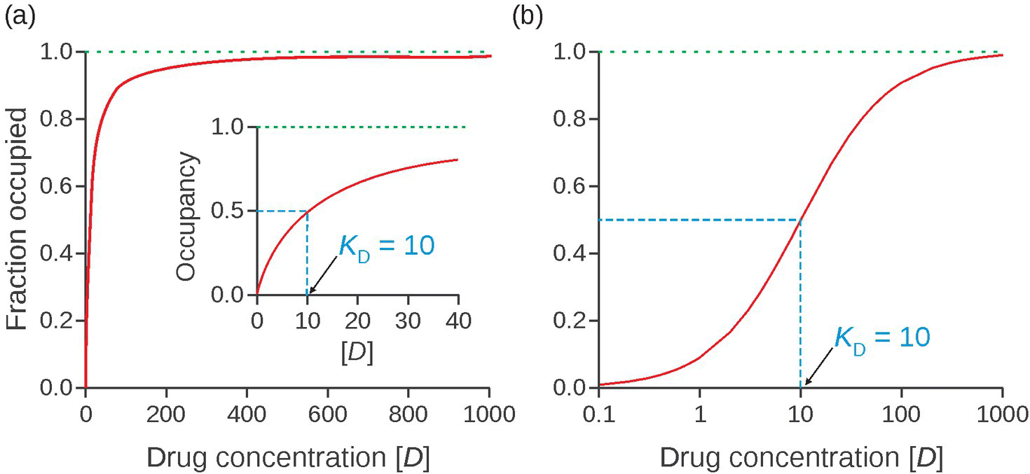 Left: Graph of fraction occupied over drug concentration with an occupancy graph where KD is numerically equal to concentration. Right: Graph of the logarithmic transformation with symmetrical sigmoid shape.