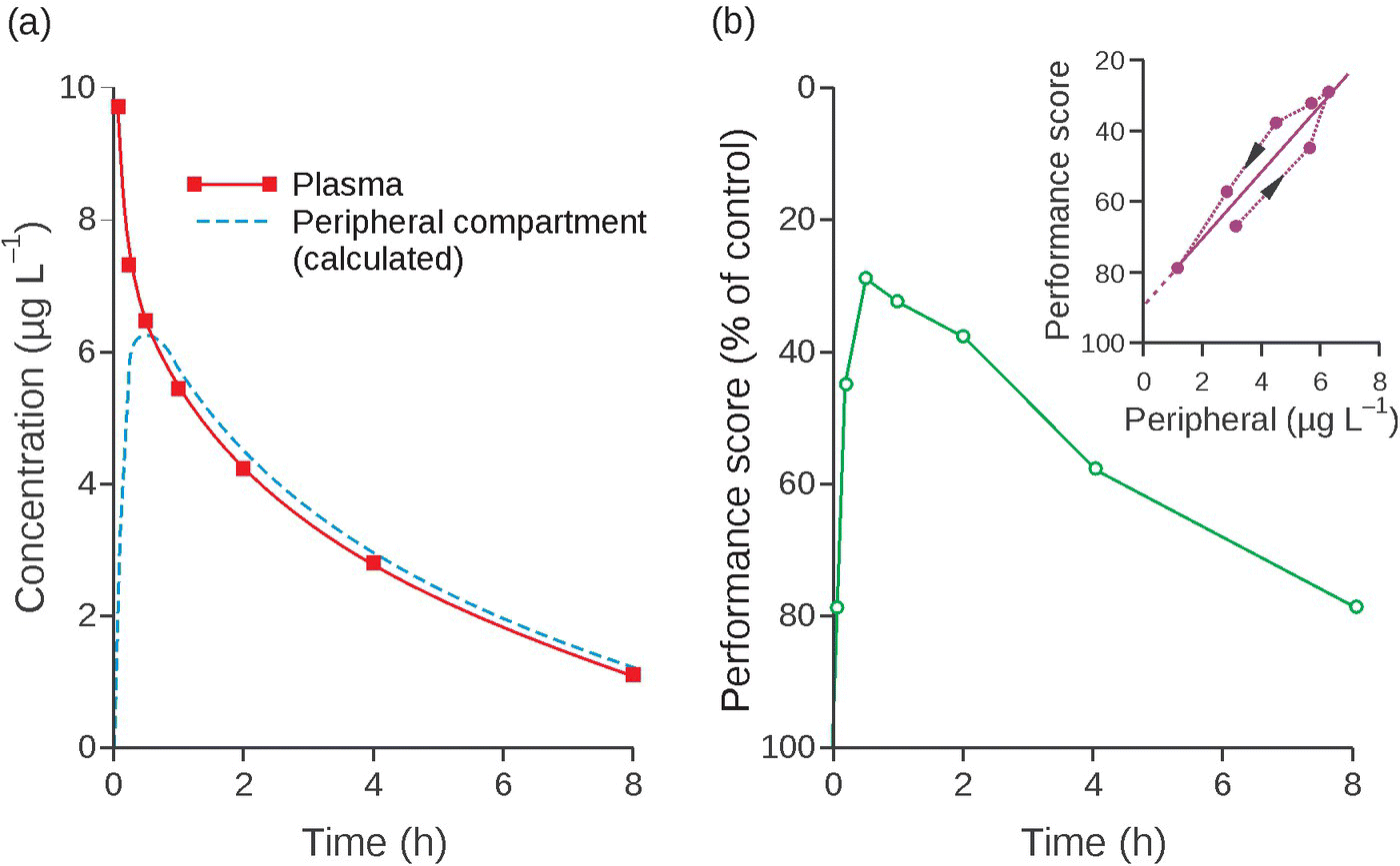 Graph concentration vs. time displaying a descending solid curve for plasma and a dashed curve for peripheral compartment (calculated).; Graph of performance score vs. time displaying a curve having open circles, with inset graph of performance score vs. peripheral displaying a positive slope line with dashed lines forming a hysteresis.