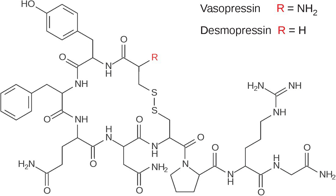 Skeletal formulas of vasopressin and desmopressin.