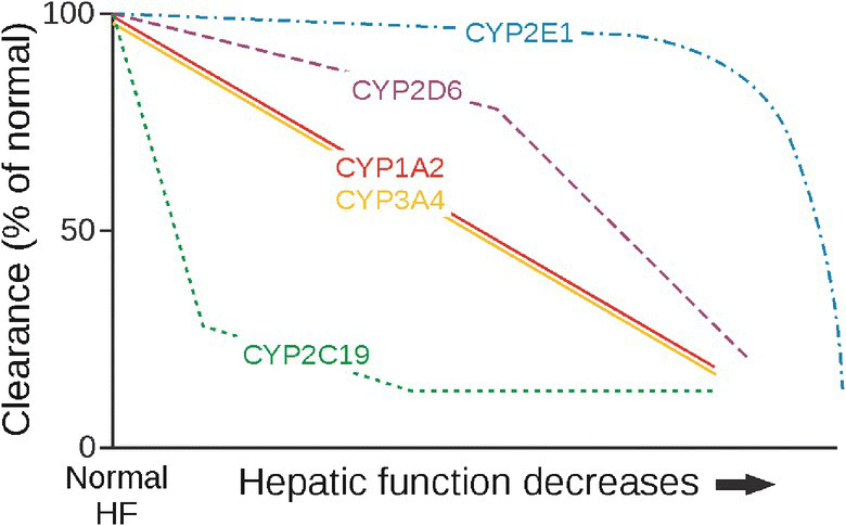 Graph depicting the implications for clearance of drugs predominantly metabolized by individual CYP pathways in liver, displaying five lines labeled CYP2E1, CYP2D6, CYP1A2, CYP3A4, and CYP2C19.