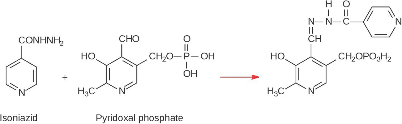 Schematic flow illustrating the condensation of pyridoxal phosphate with isoniazid.