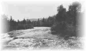 The picturesque Truckee River, near Lake Tahoe