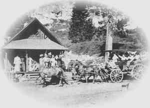 In the 'Good Old Days'. Glen Alpine Stage approaching Office at Glen Alpine Springs