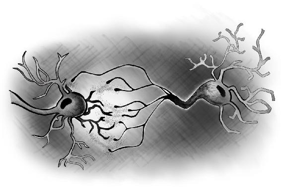 Illustration: Neuron synaptic paring